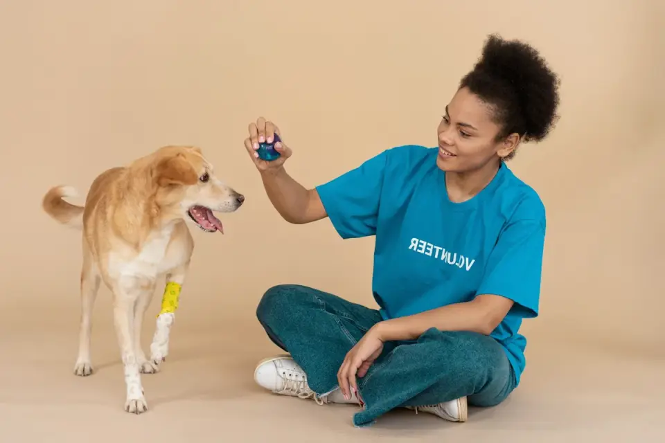 A veterinary technician gently guiding a dog&#x27;s hind leg through a flexion movement