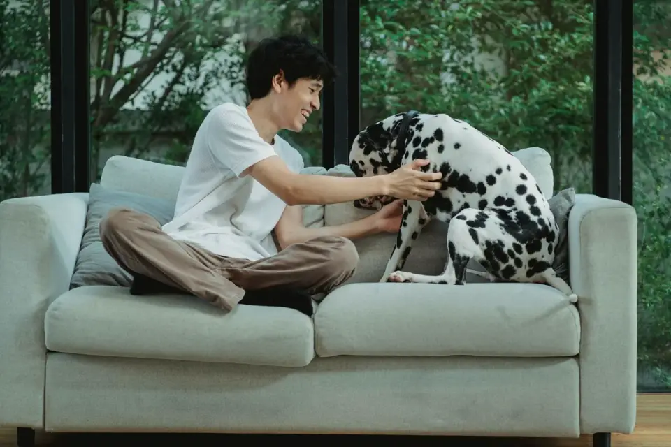 An owner sitting on the floor next to a dog that is pressed against a couch