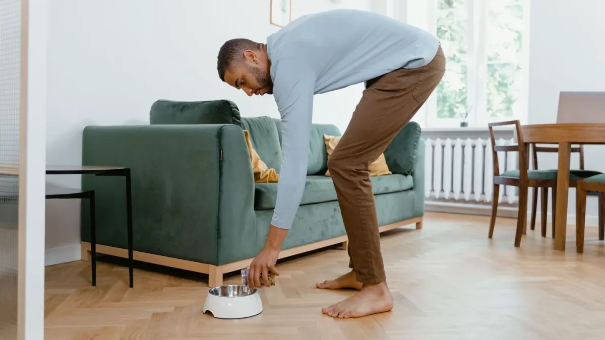 Dog eating from a bowl