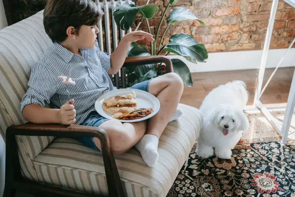 Dog eating from a bowl